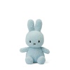 Nijntje Knuffel Terry 23cm - Light Blue